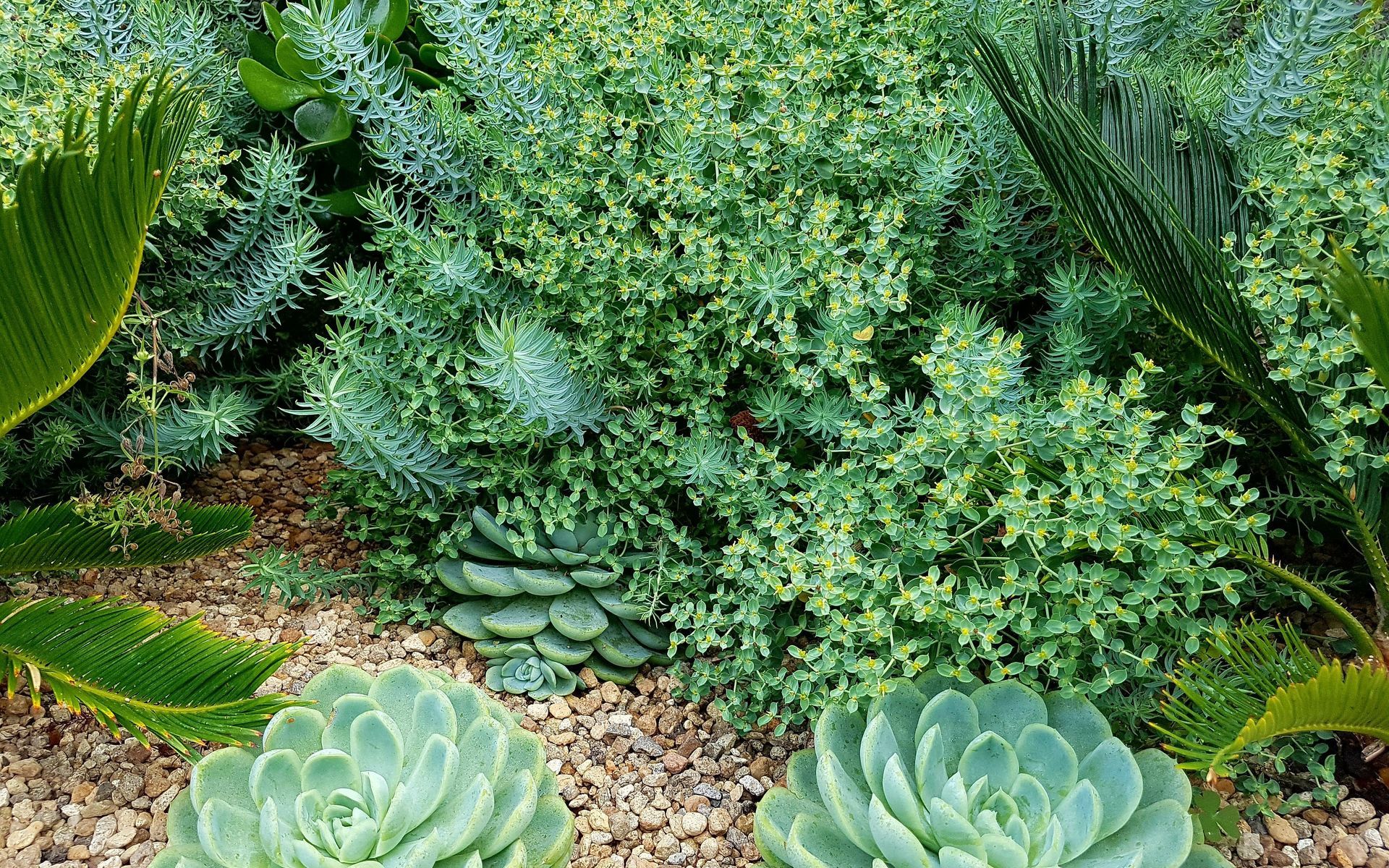 Supporting Image 2 for Erin Farrow Landscapes