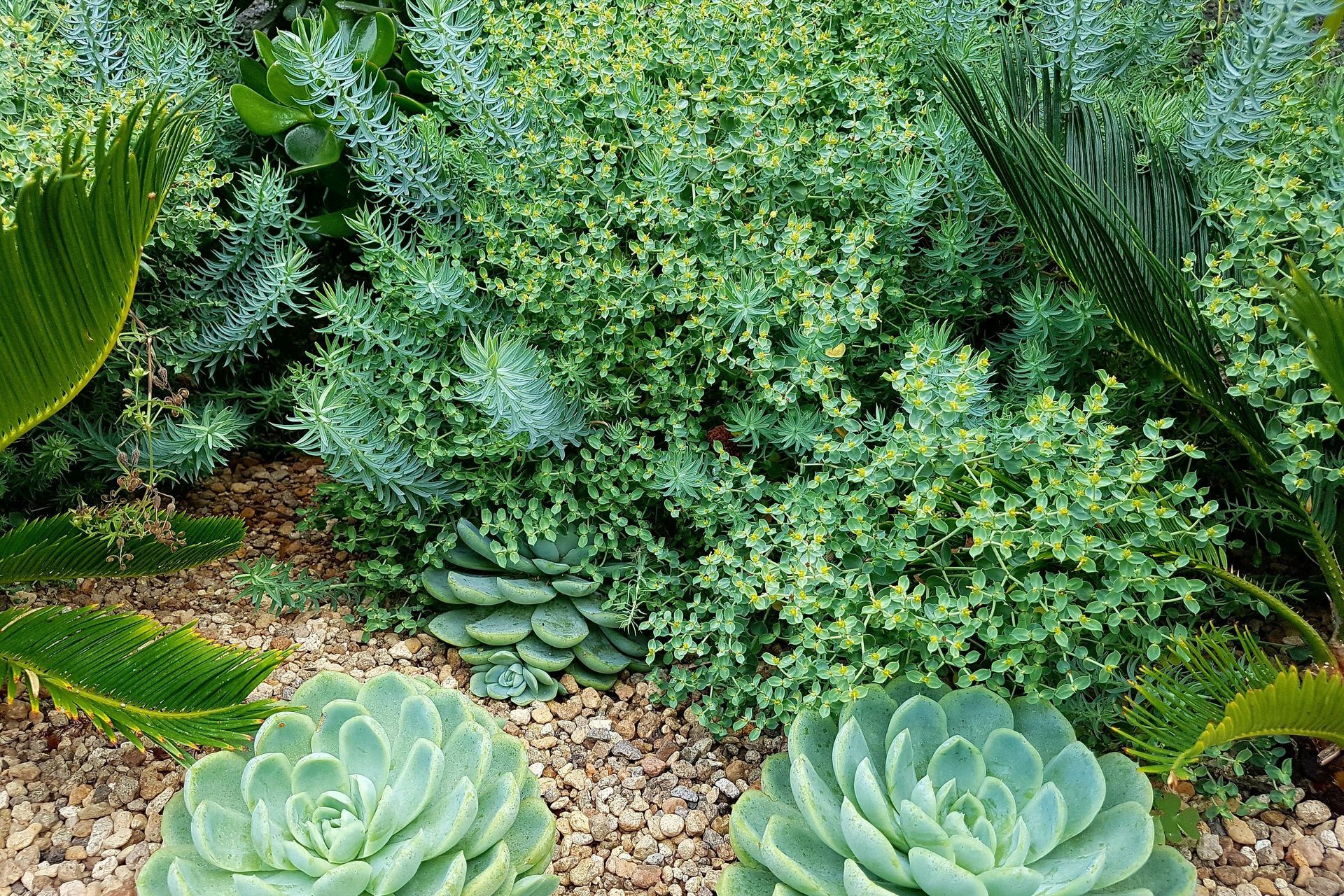 Supporting Image 2 for Erin Farrow Landscapes