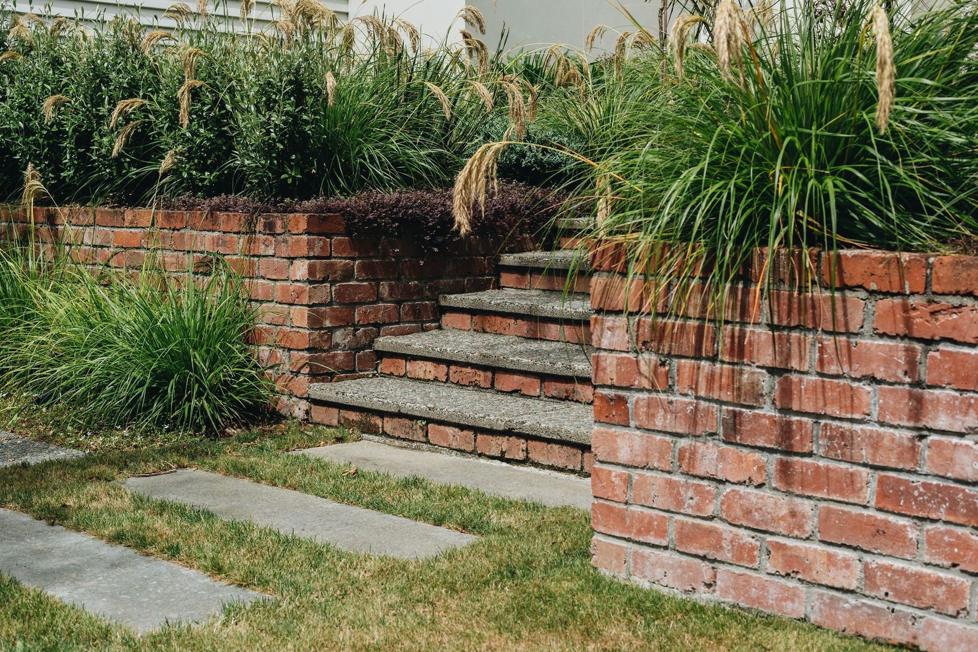 Supporting Image 5 for Noble Fox