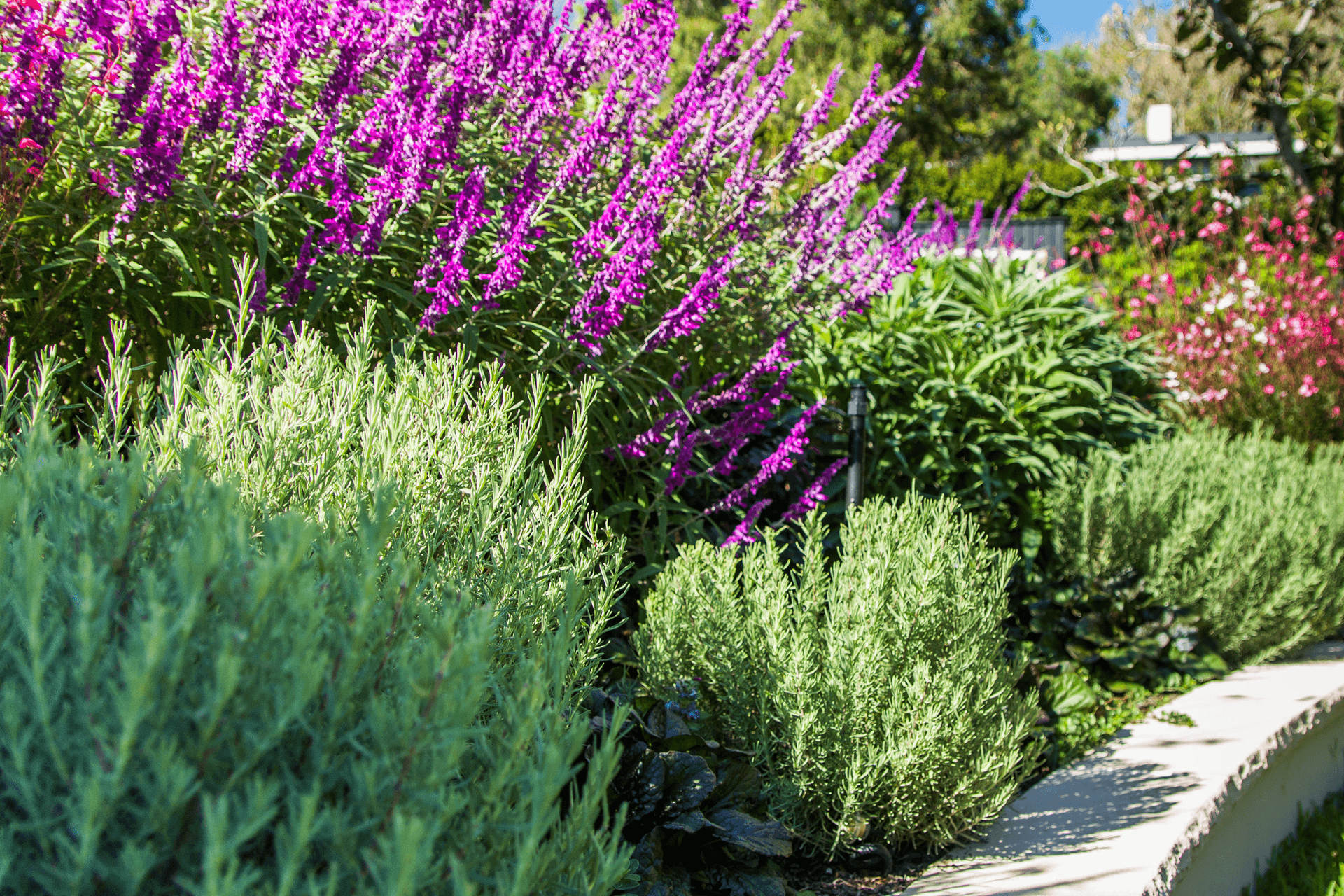 Supporting Image 1 for Inspired Exteriors