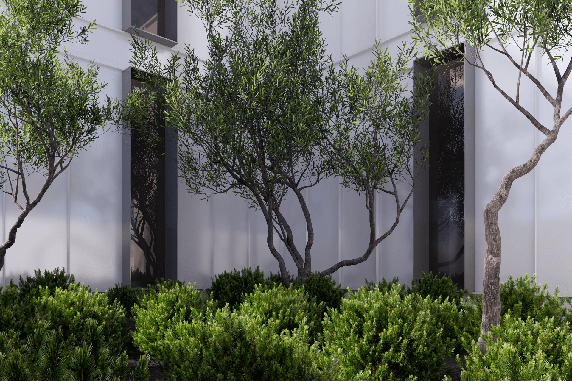 Supporting Image 2 for outlook landscapes ltd