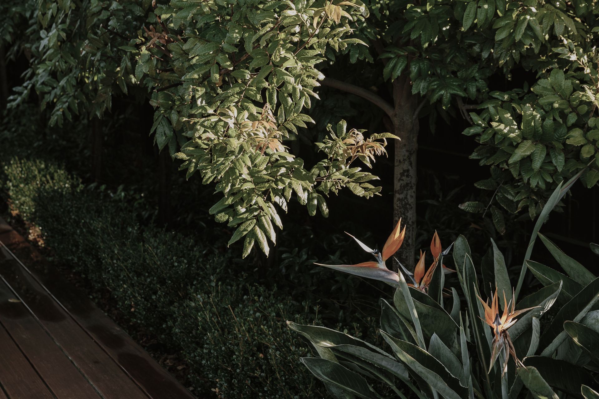 Supporting Image 4 for Parker