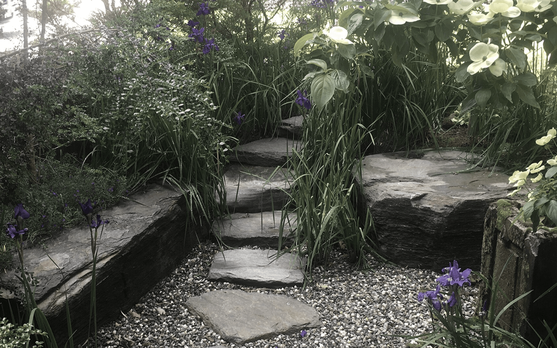 Supporting Image 4 for JVB Landscape