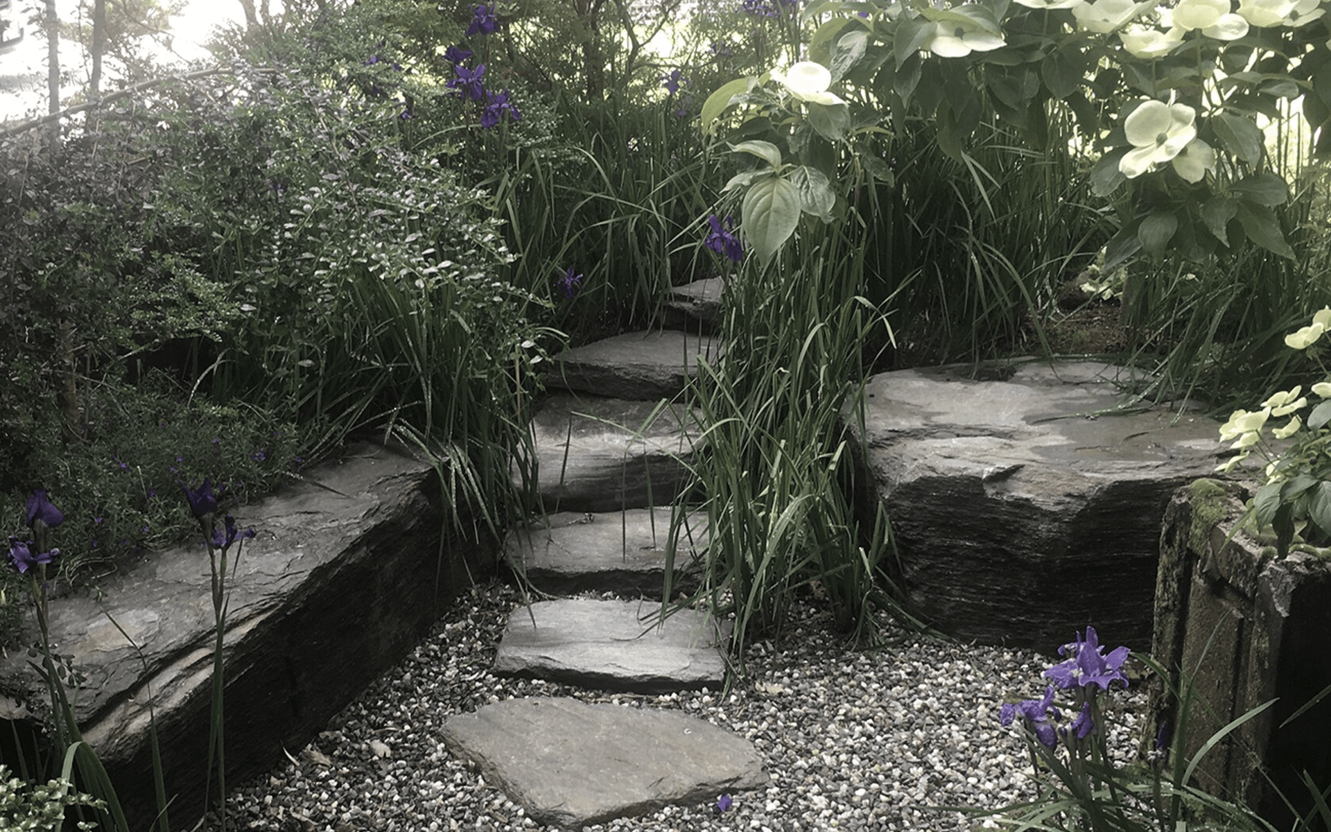Supporting Image 4 for JVB Landscape