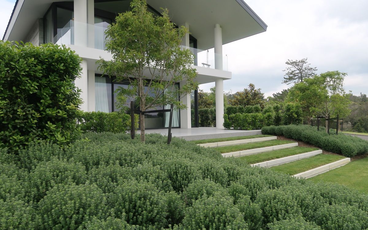 Hero Banner for Strass Landscape Developers
