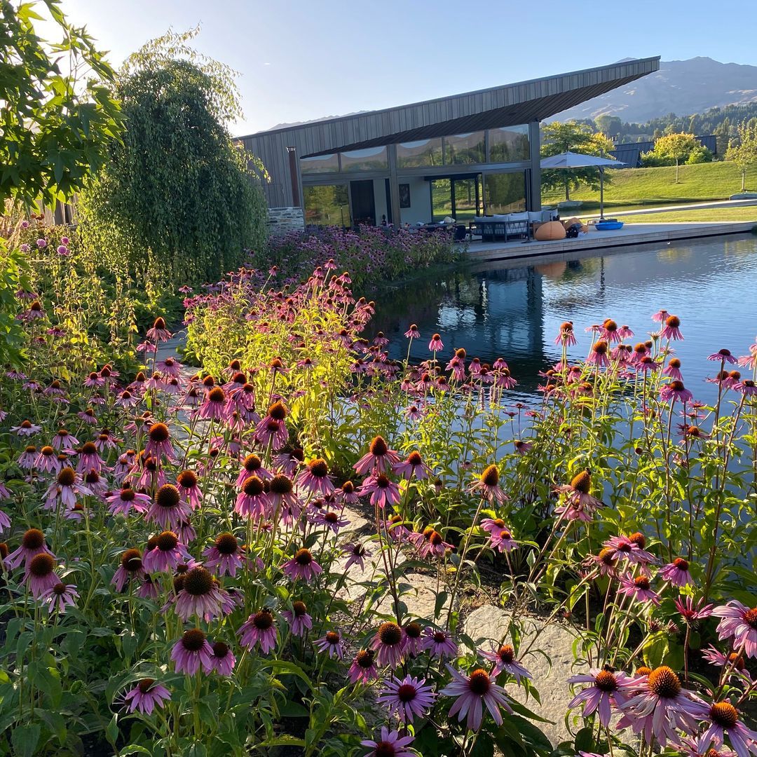 JVB Landscape