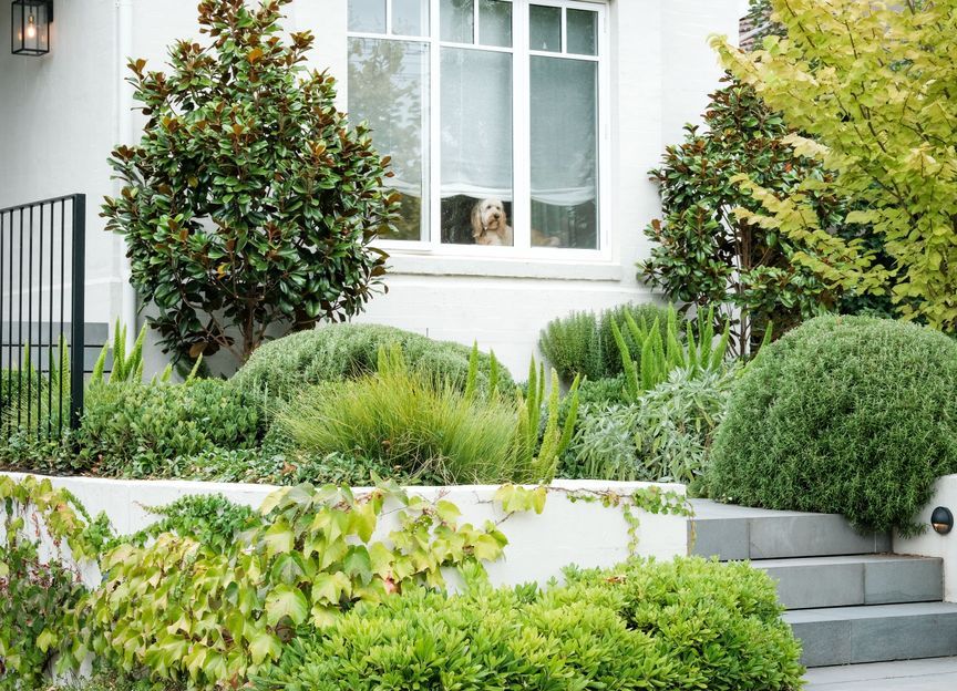 Andrew Plant Landscapes