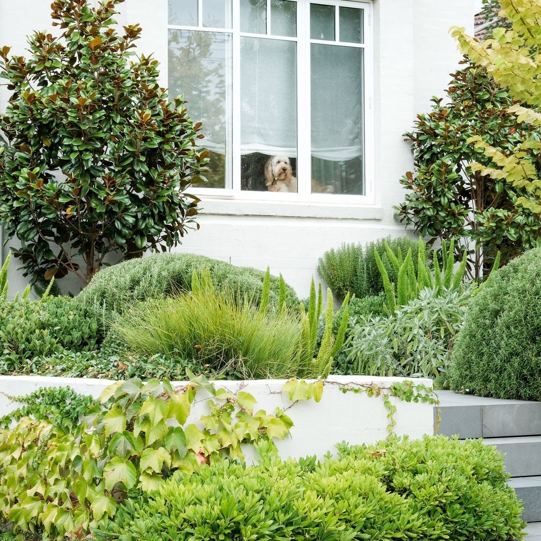 Andrew Plant Landscapes