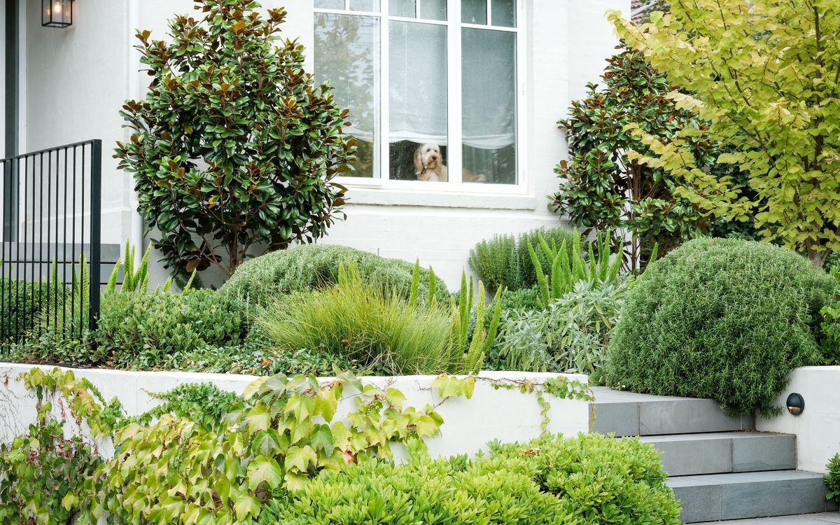 Andrew Plant Landscapes banner