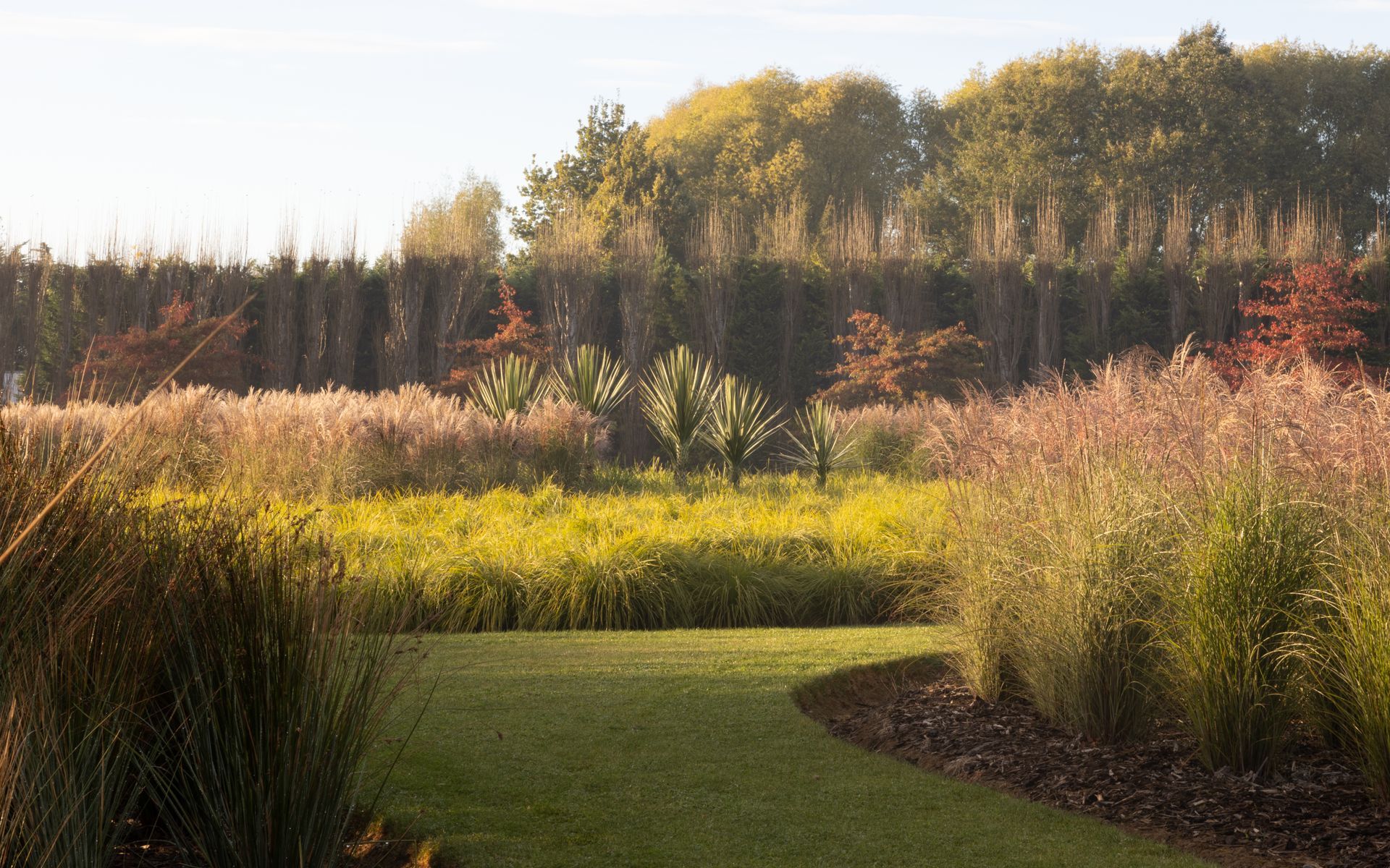 Supporting Image 1 for Henry Blakely Landscapes