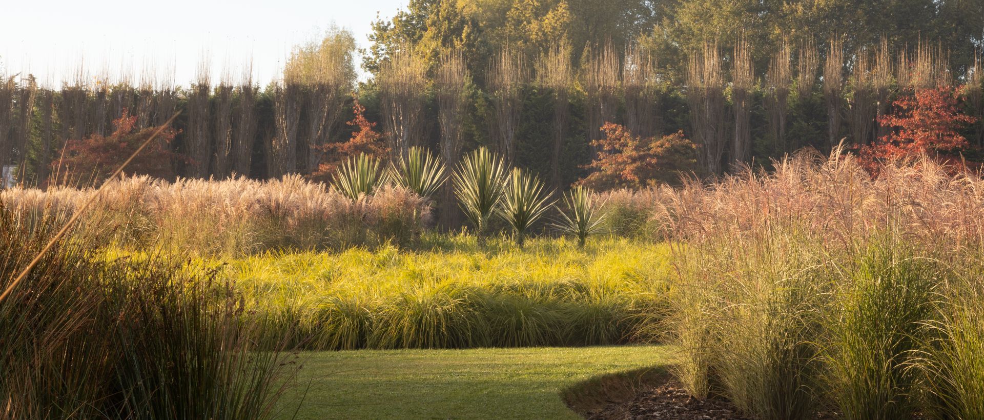 Supporting Image 1 for Henry Blakely Landscapes