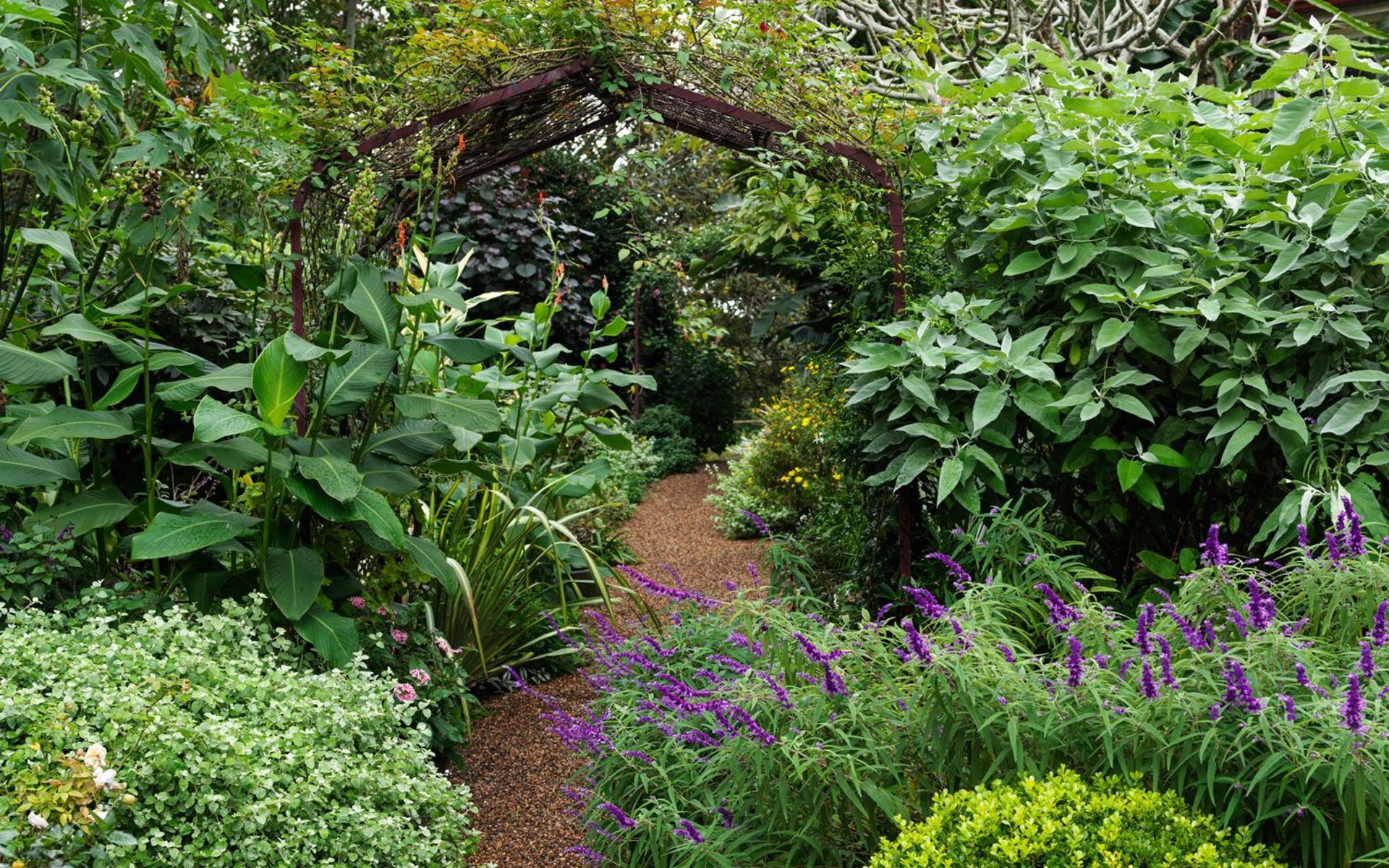 Supporting Image 3 for Pepo Botanic Design