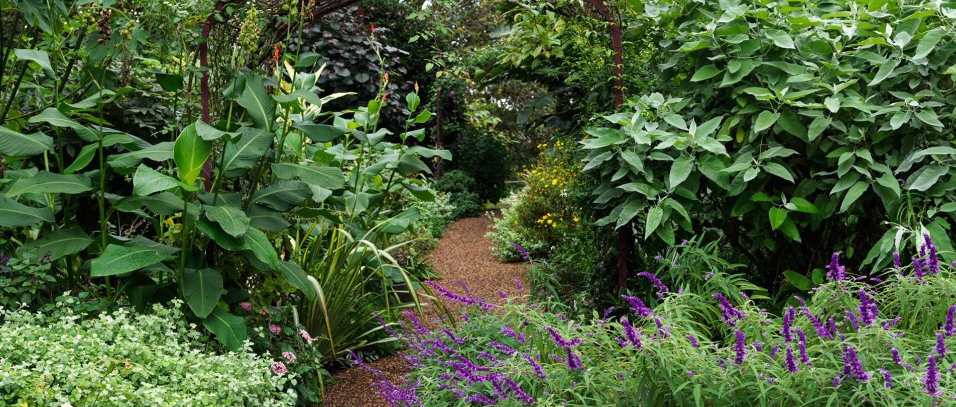 Supporting Image 3 for Pepo Botanic Design