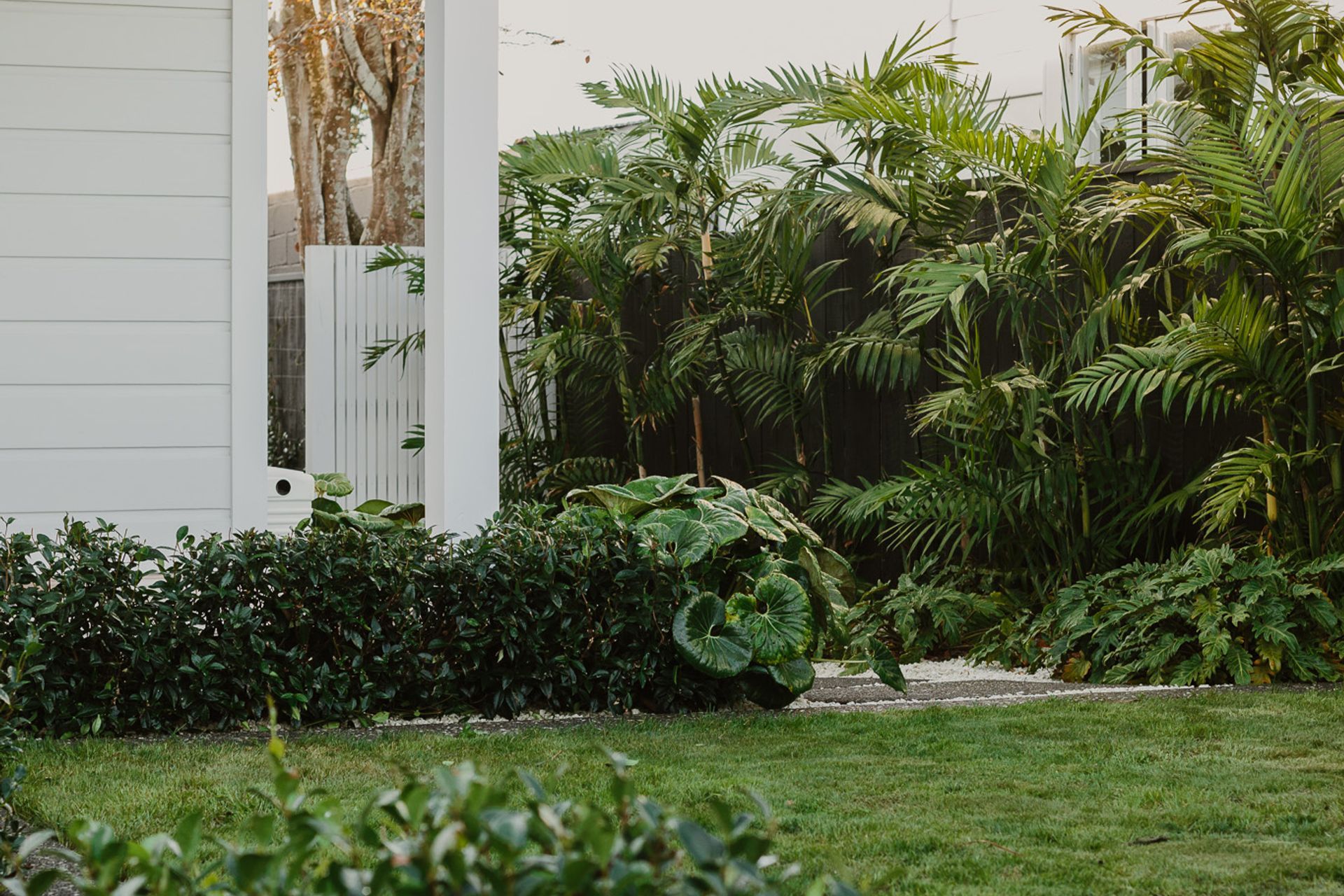 Supporting Image 5 for Parker