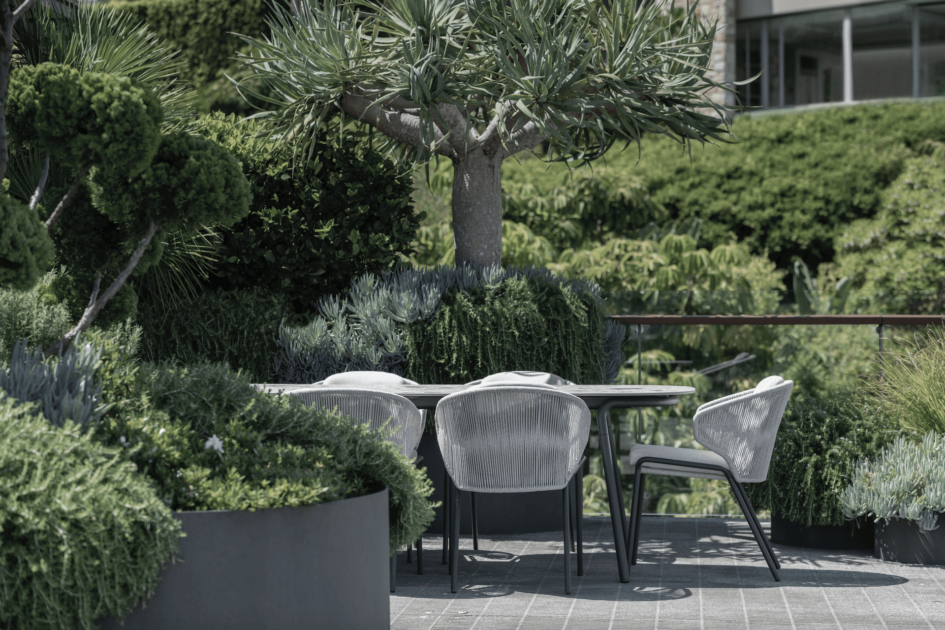 Supporting Image 3 for Wyer & Co.