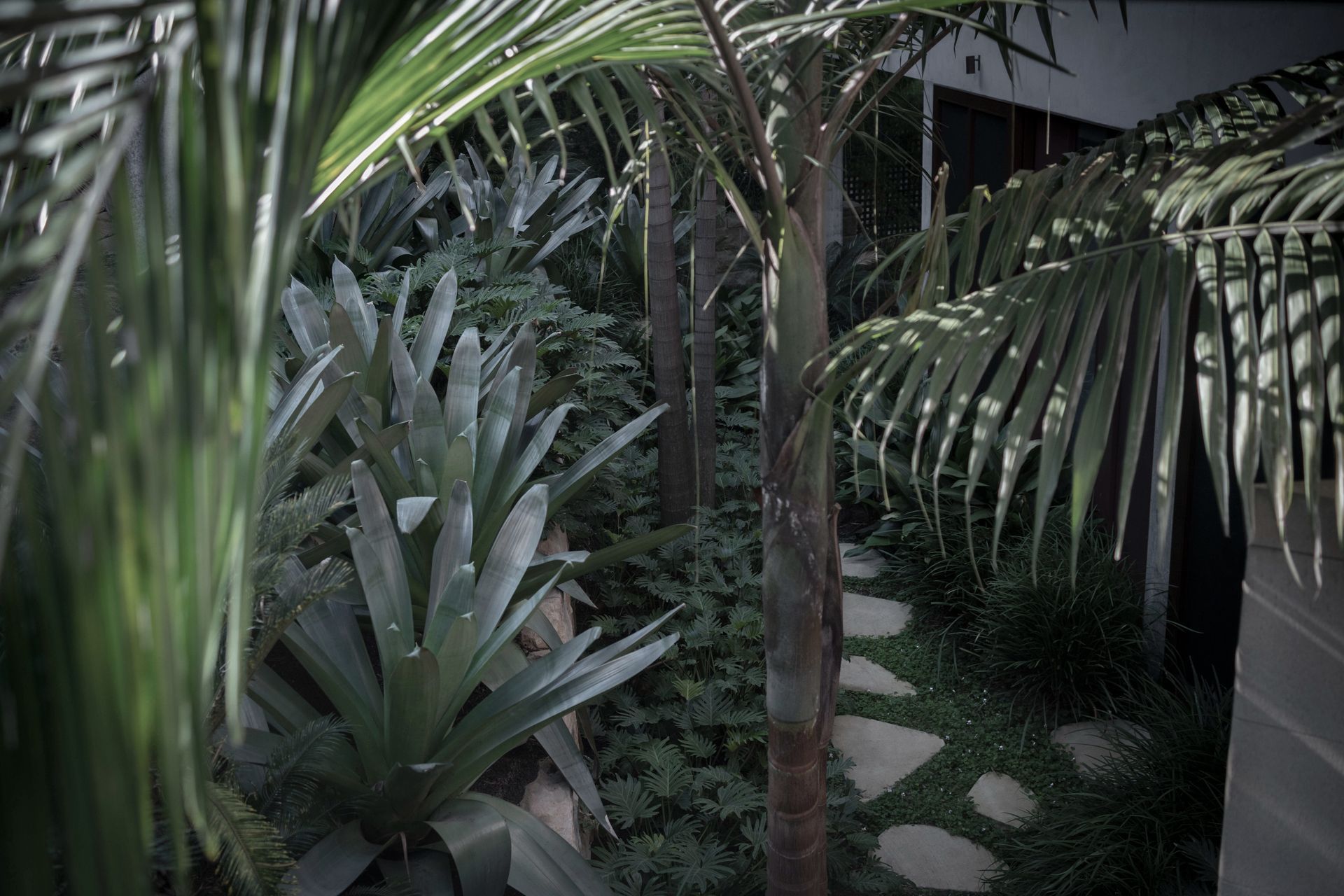 Supporting Image 1 for Wyer & Co.