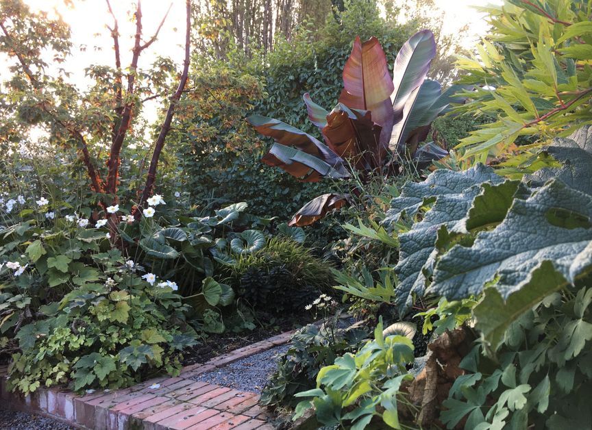 Botanic Landscape Architects