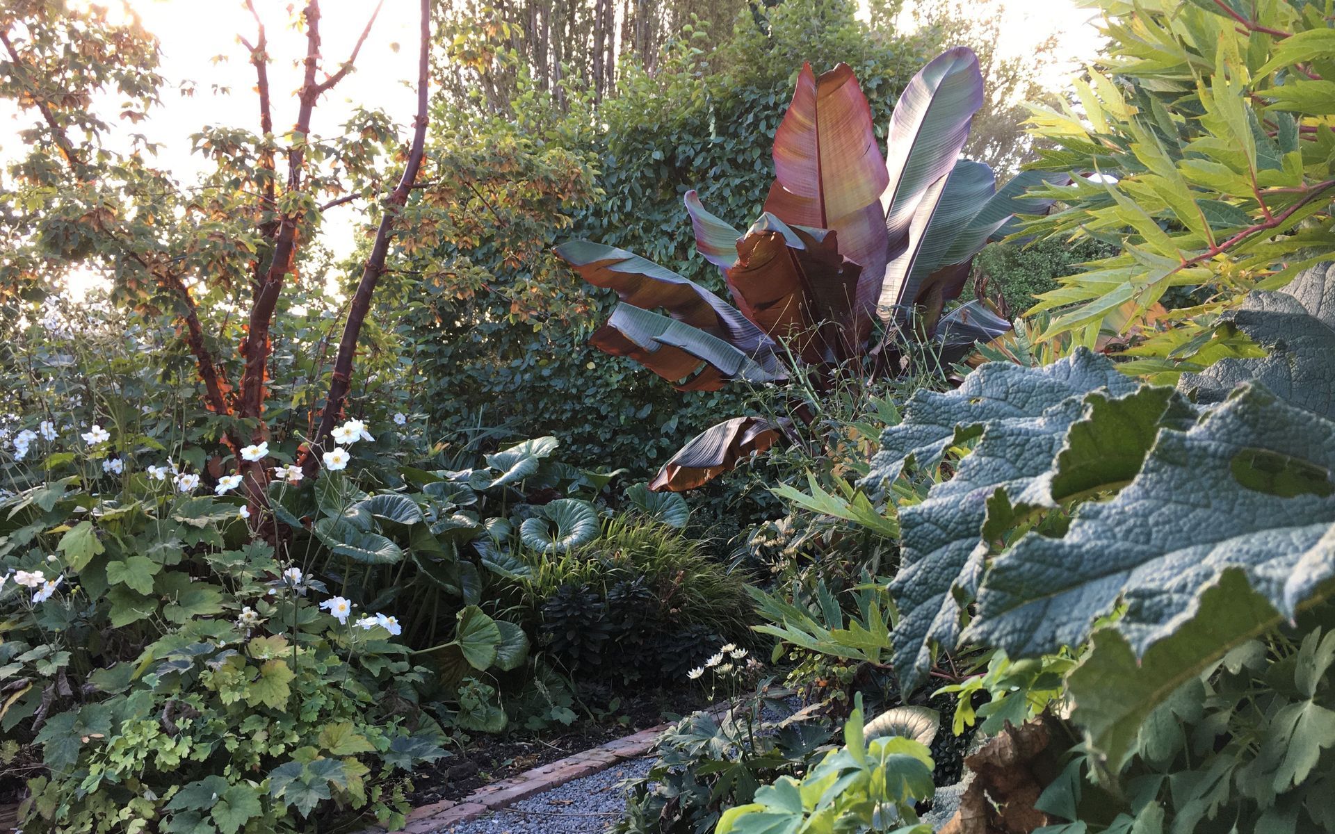 Hero Banner for Botanic Landscape Architects