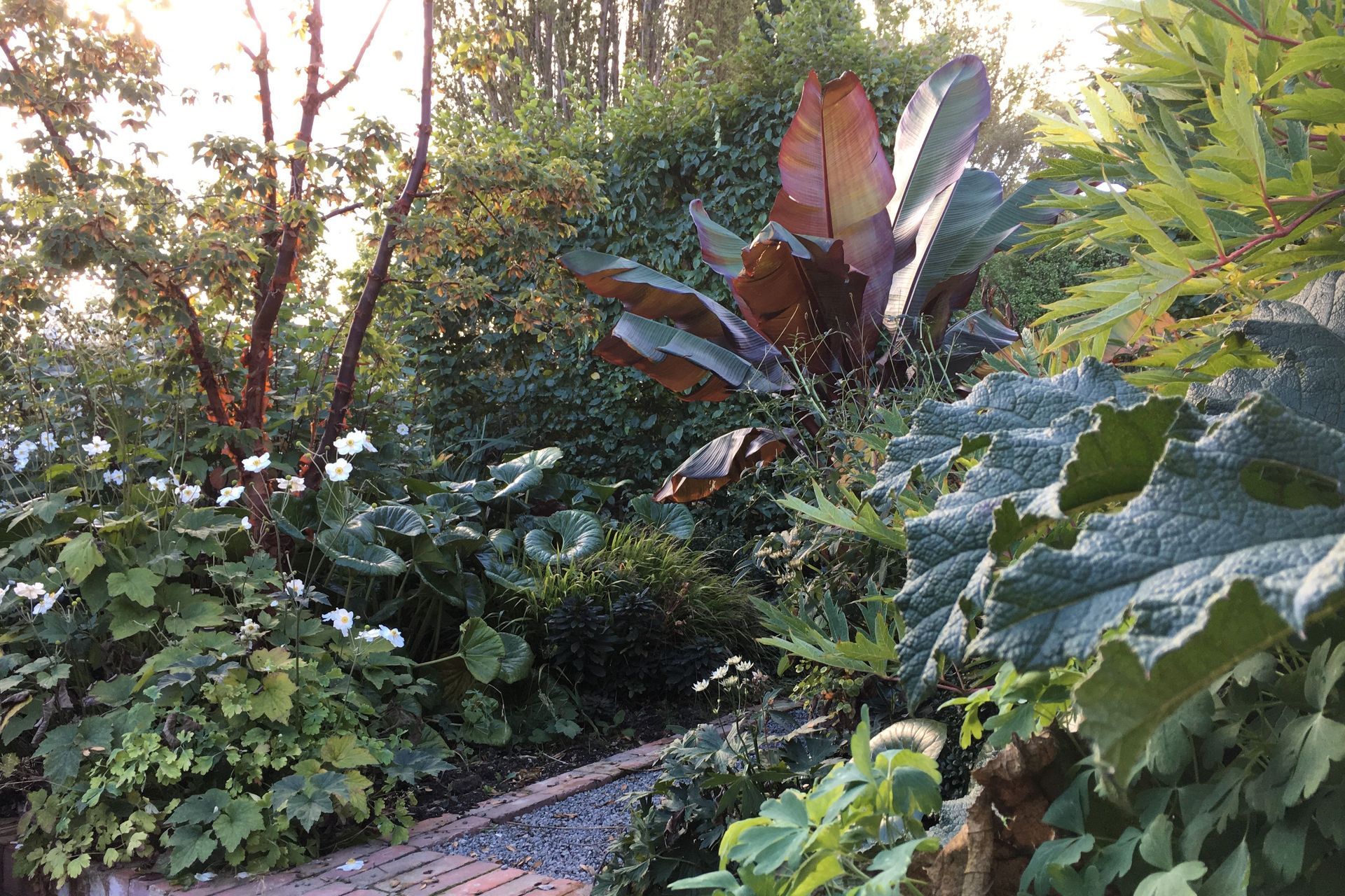 Botanic Landscape Architects banner