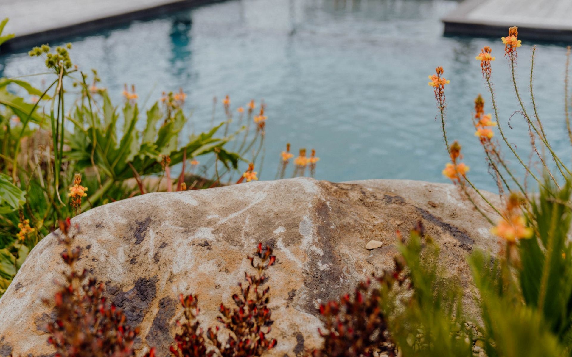 Supporting Image 3 for Onsite Landscapes