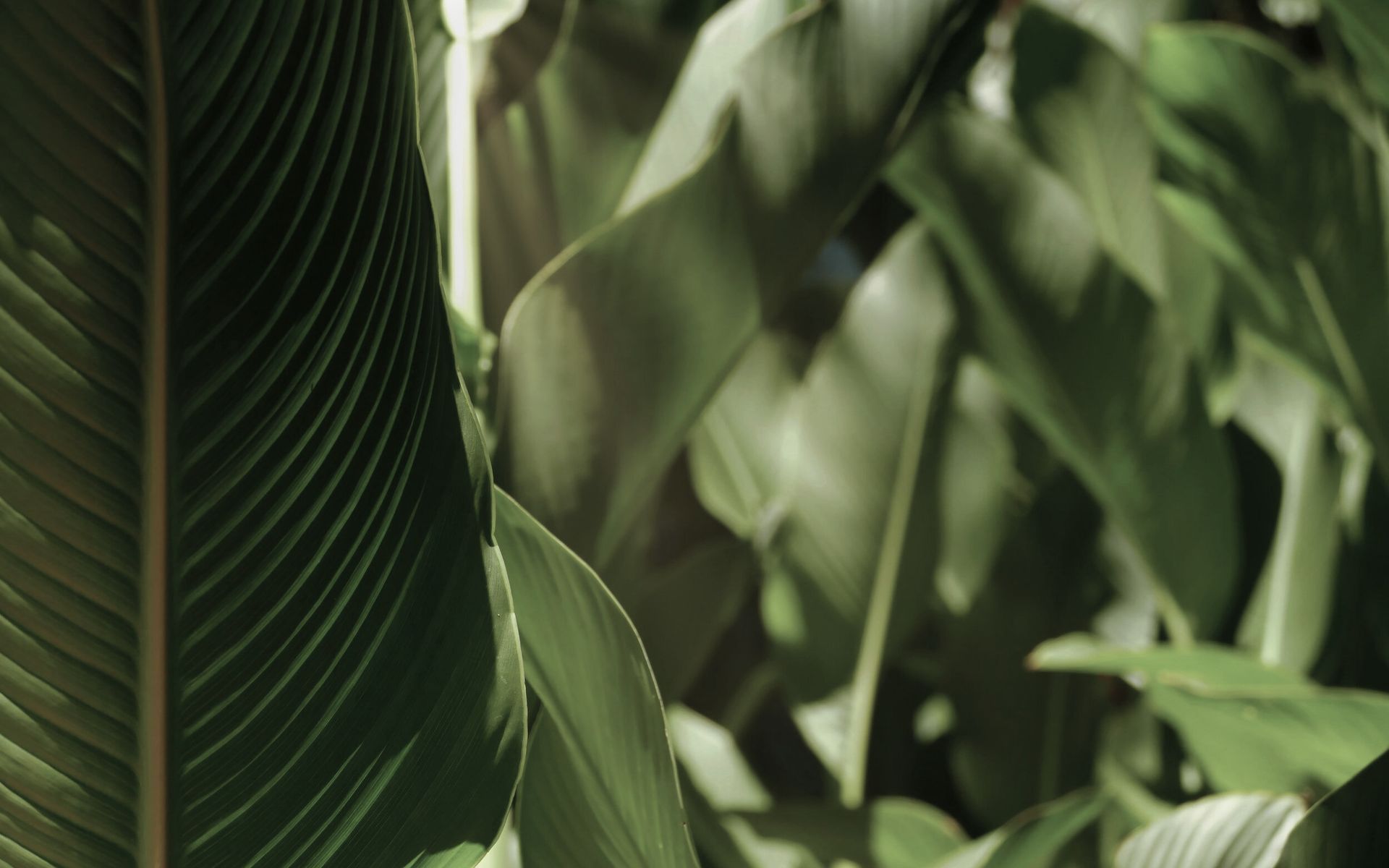 Outline Spaces banner