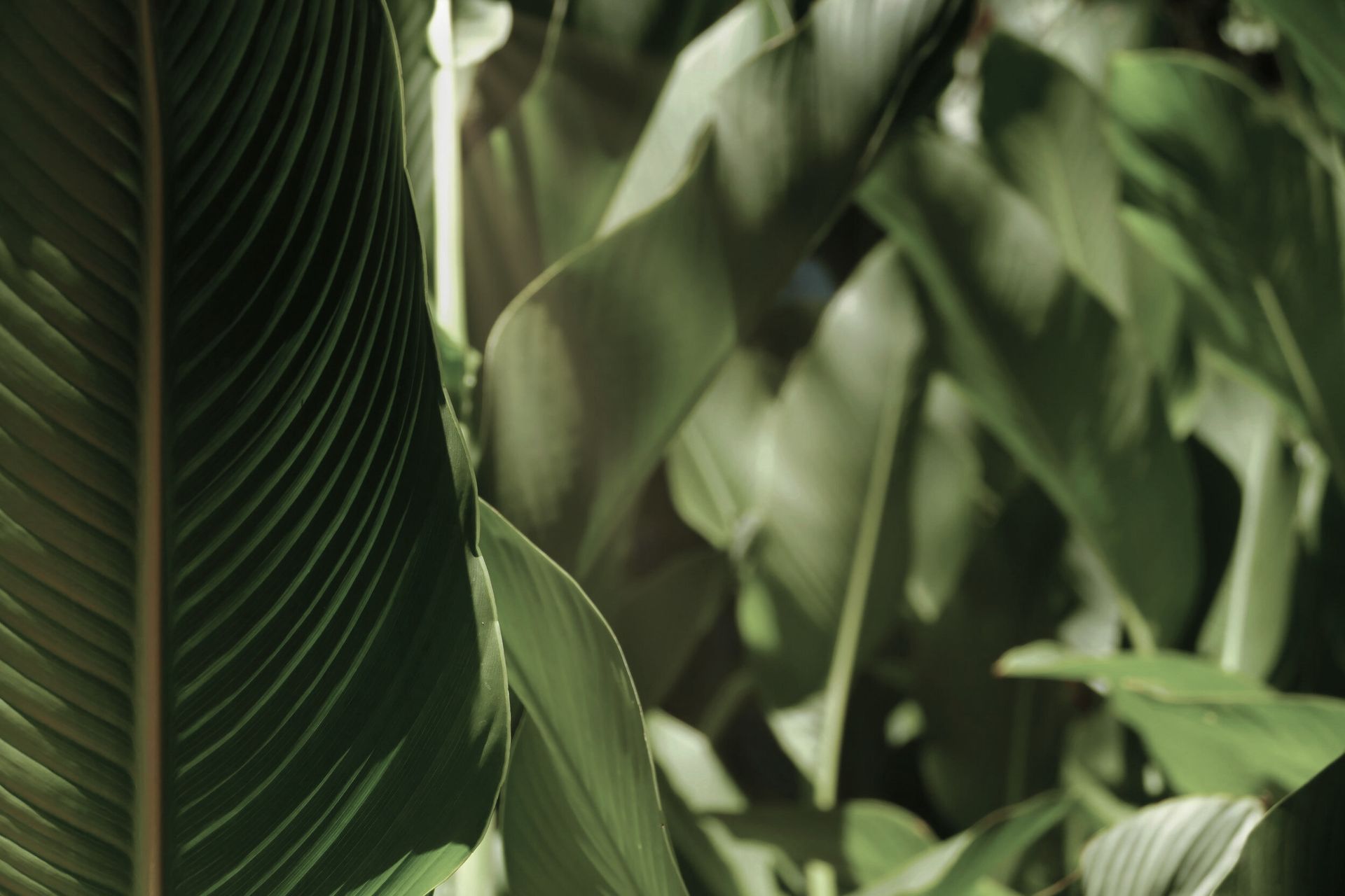 Outline Spaces banner