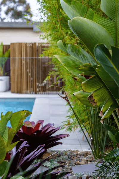 MUD Landscape Design