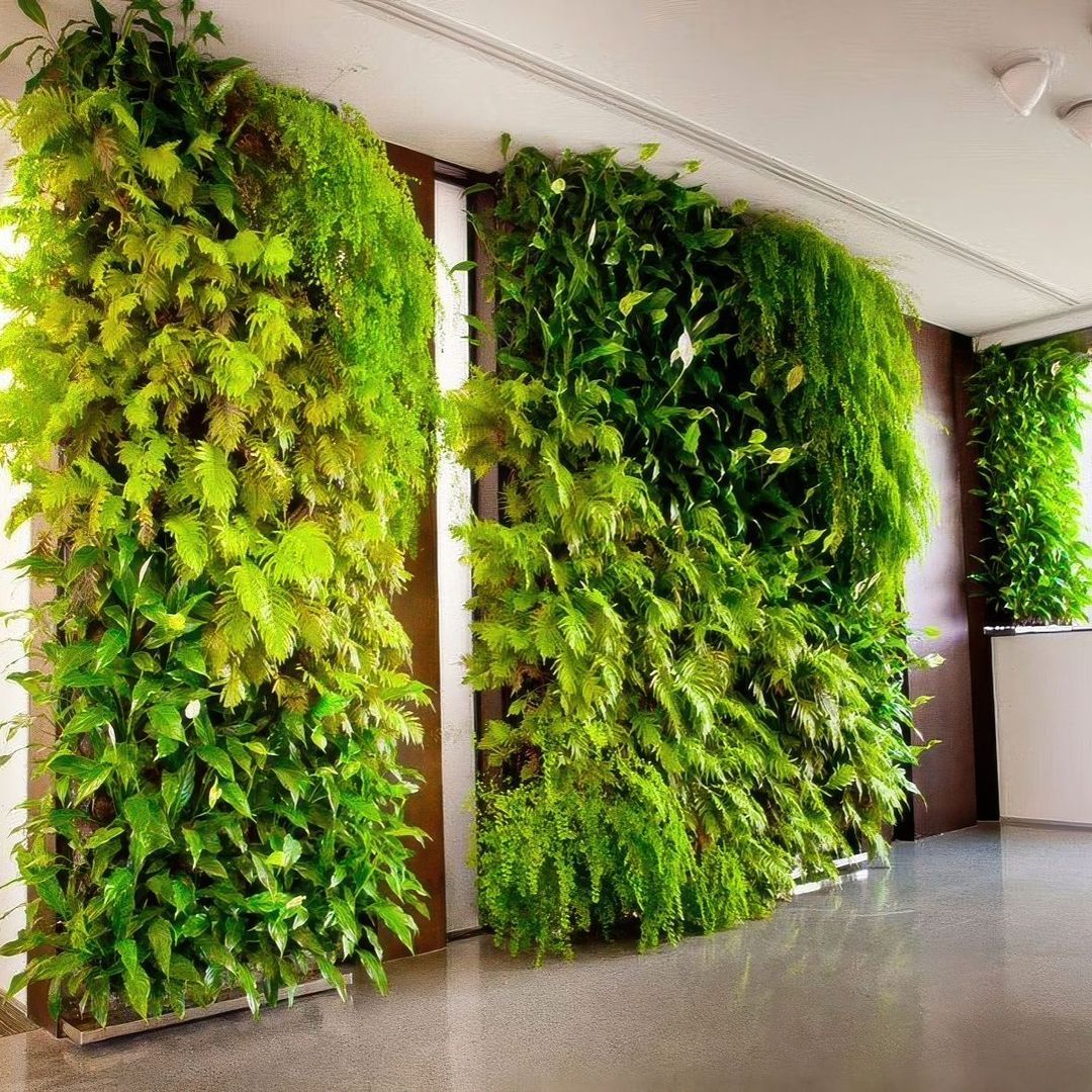 Natural Habitats Landscapes