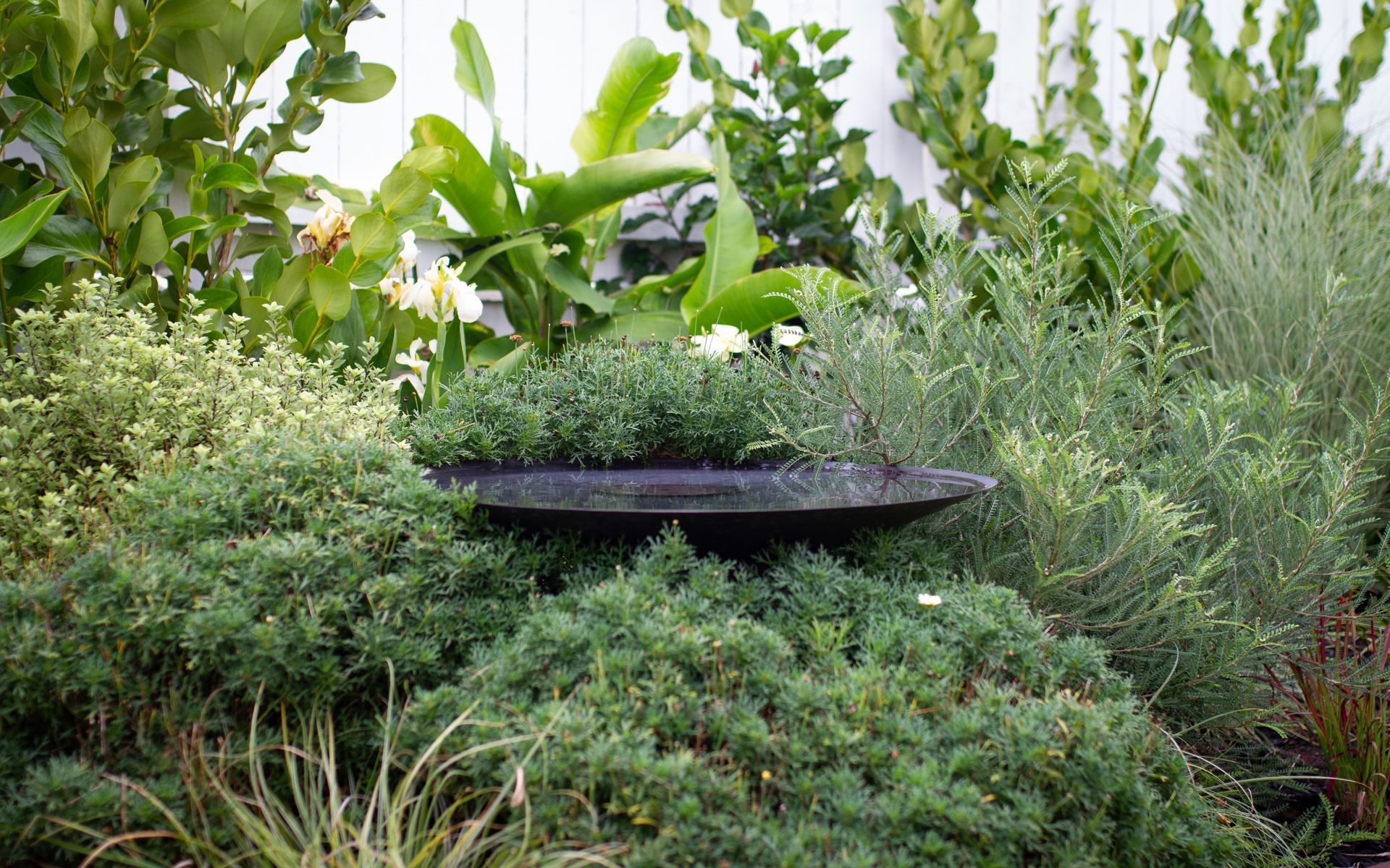 Supporting Image 3 for Sculpt Gardens