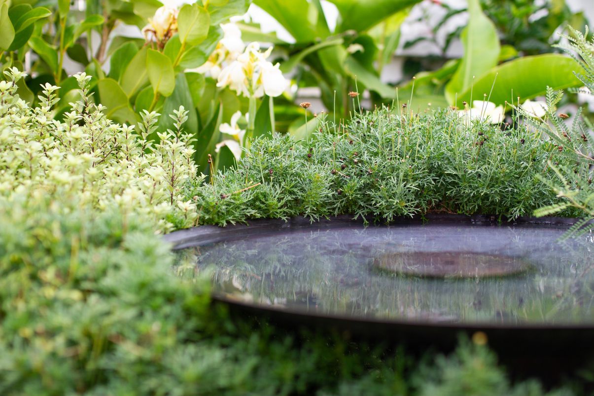 Sculpt Gardens