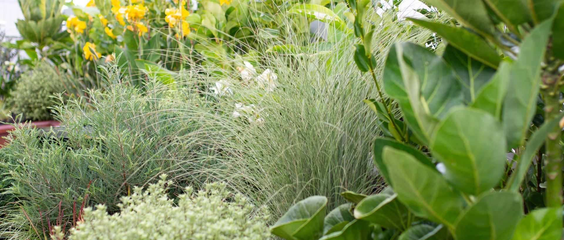 Supporting Image 1 for Sculpt Gardens