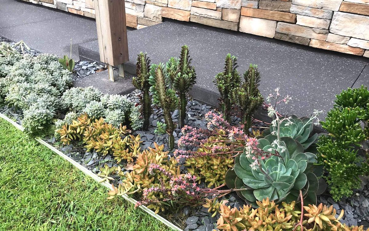 Supporting Image 3 for Devo Designs Landscaping