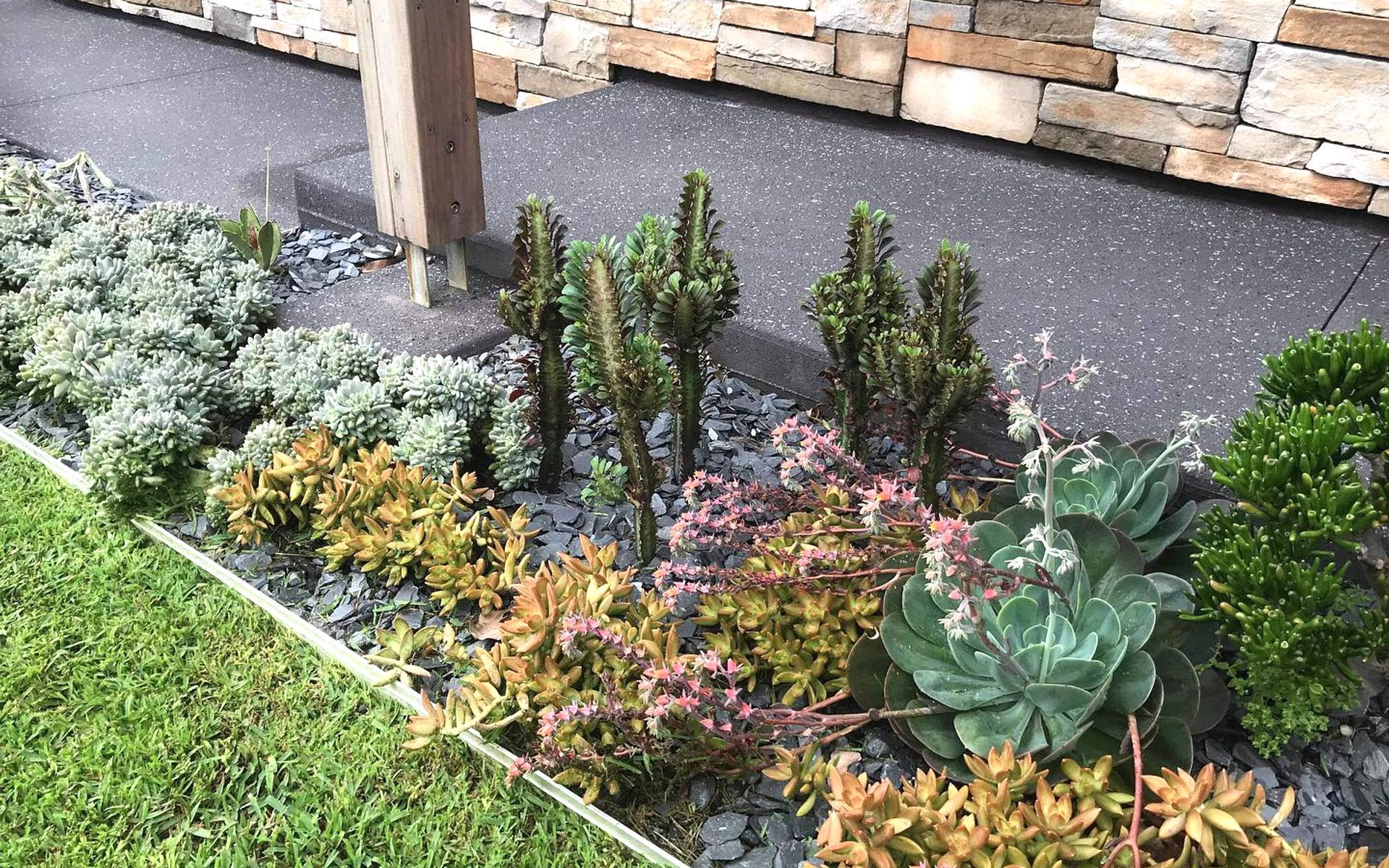 Supporting Image 3 for Devo Designs Landscaping