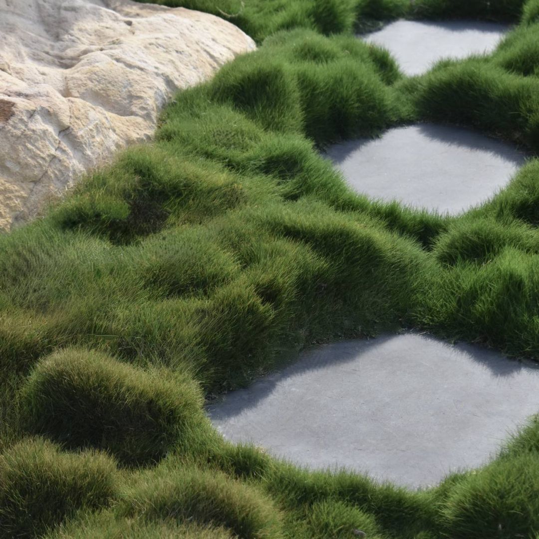 Inside Out Garden Design