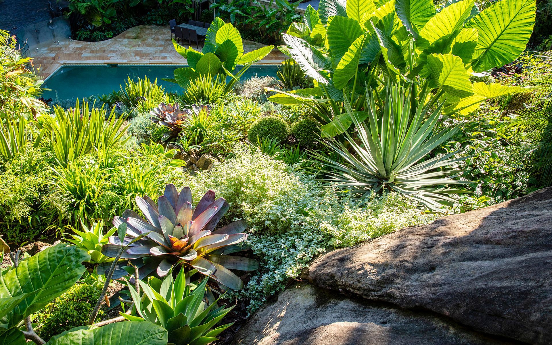 Hero Banner for Landsberg Garden Design