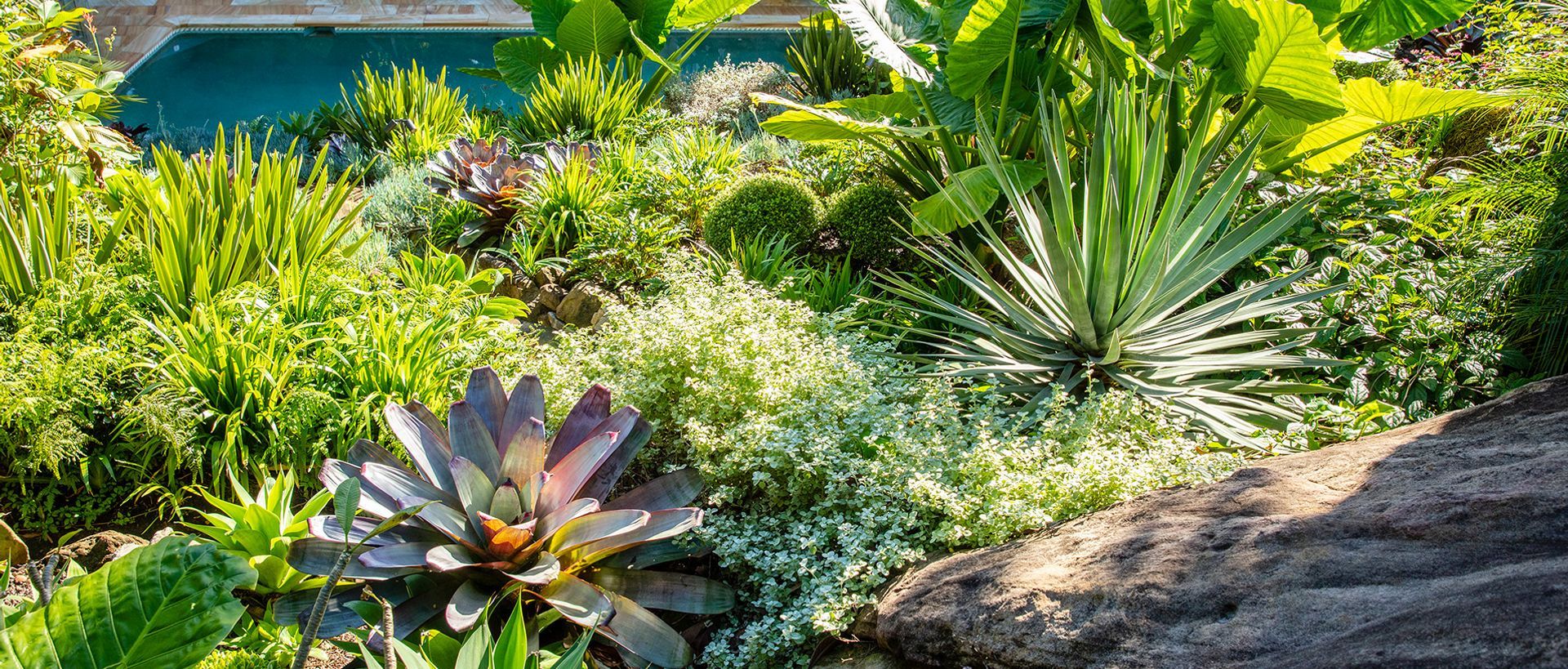 Hero Banner for Landsberg Garden Design