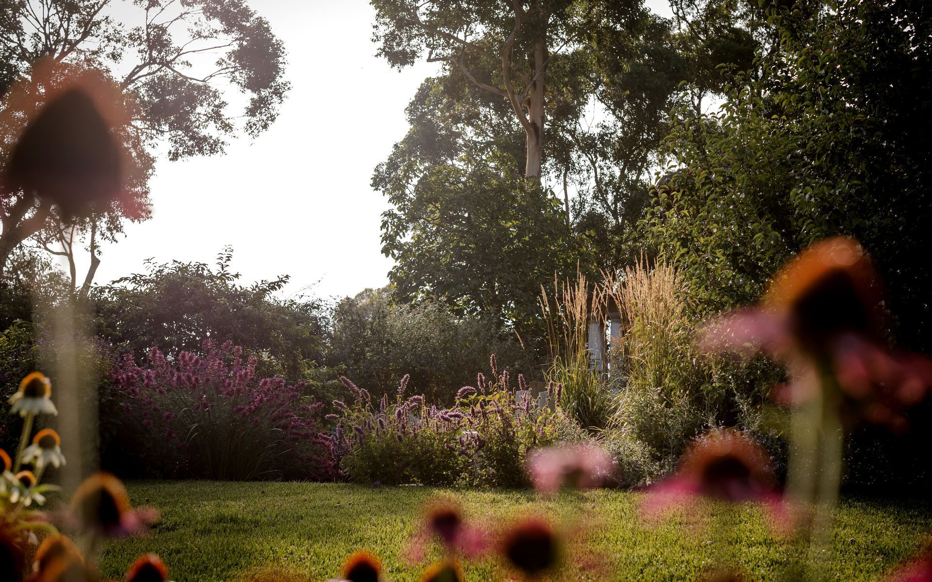 Supporting Image 1 for Ashley James Gardens