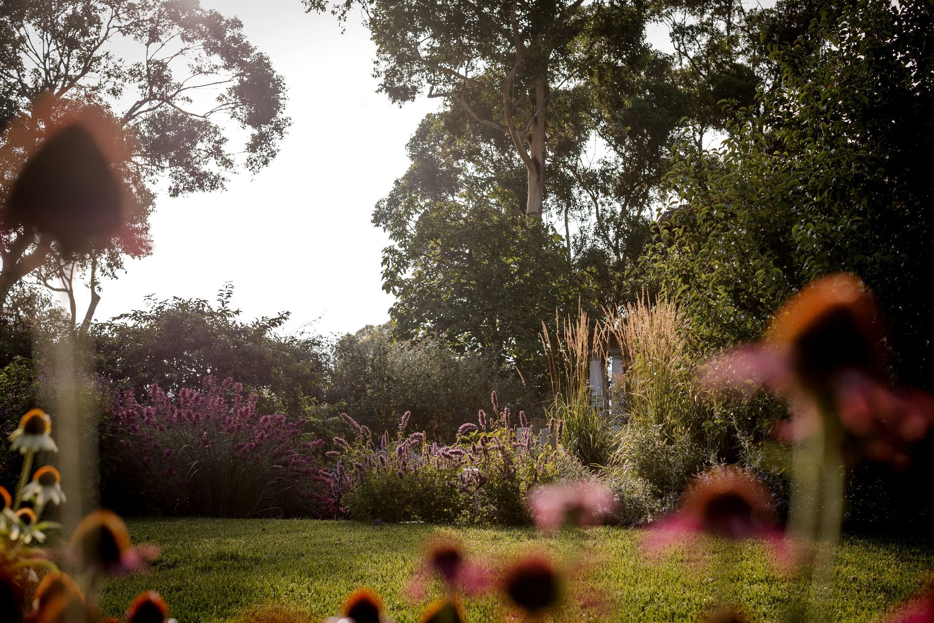 Supporting Image 1 for Ashley James Gardens