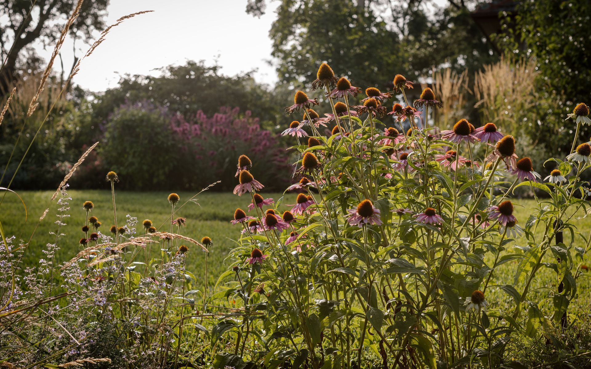 Supporting Image 3 for Ashley James Gardens