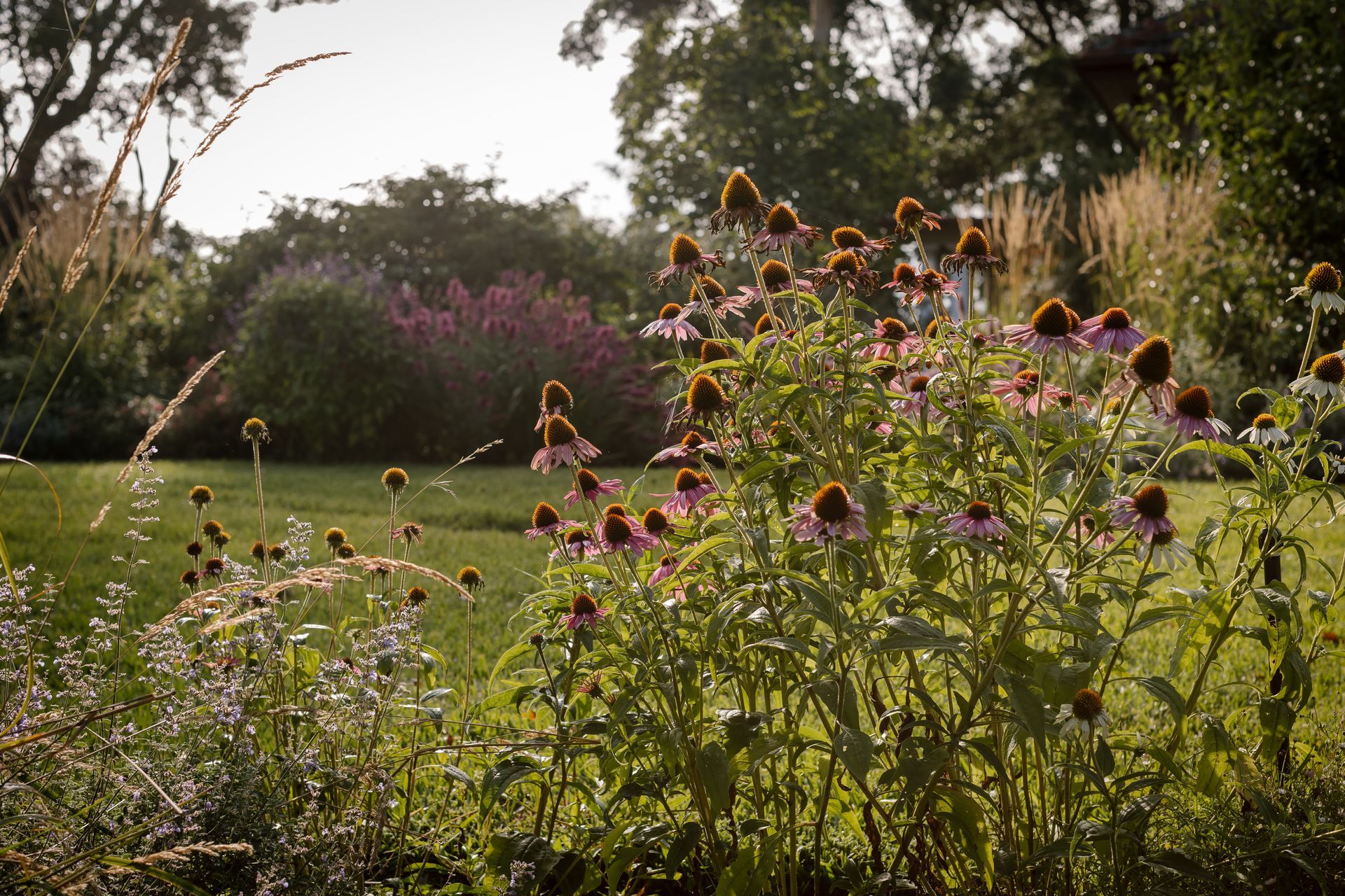 Supporting Image 3 for Ashley James Gardens