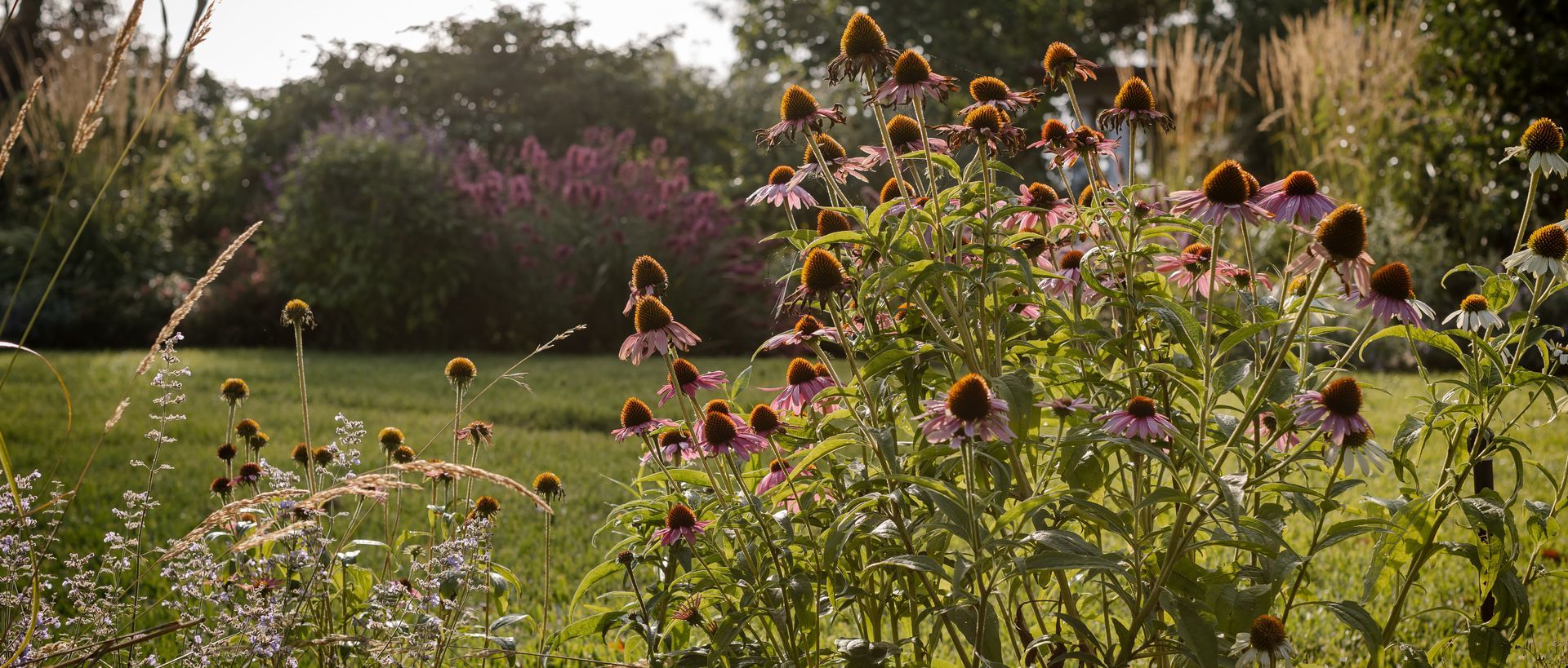 Supporting Image 3 for Ashley James Gardens