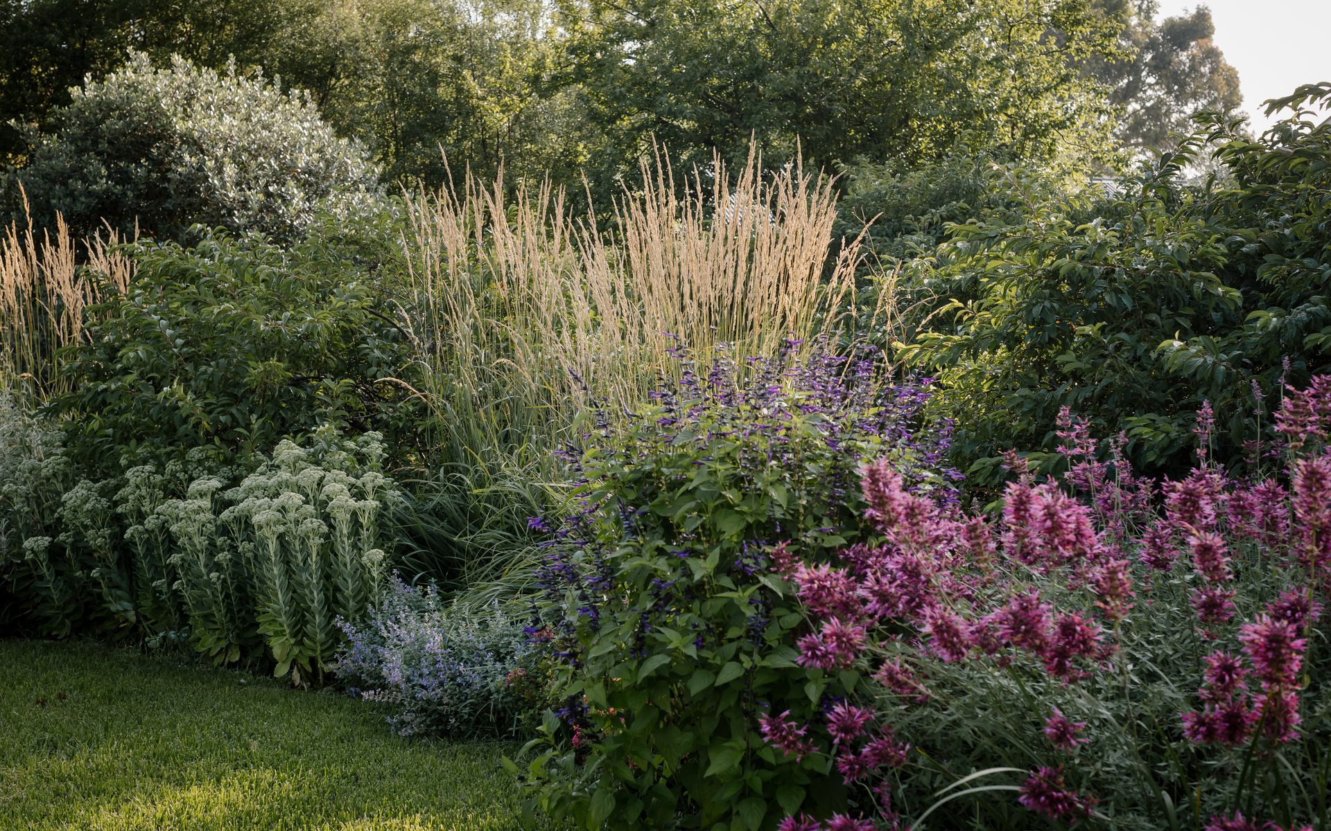 Supporting Image 2 for Ashley James Gardens