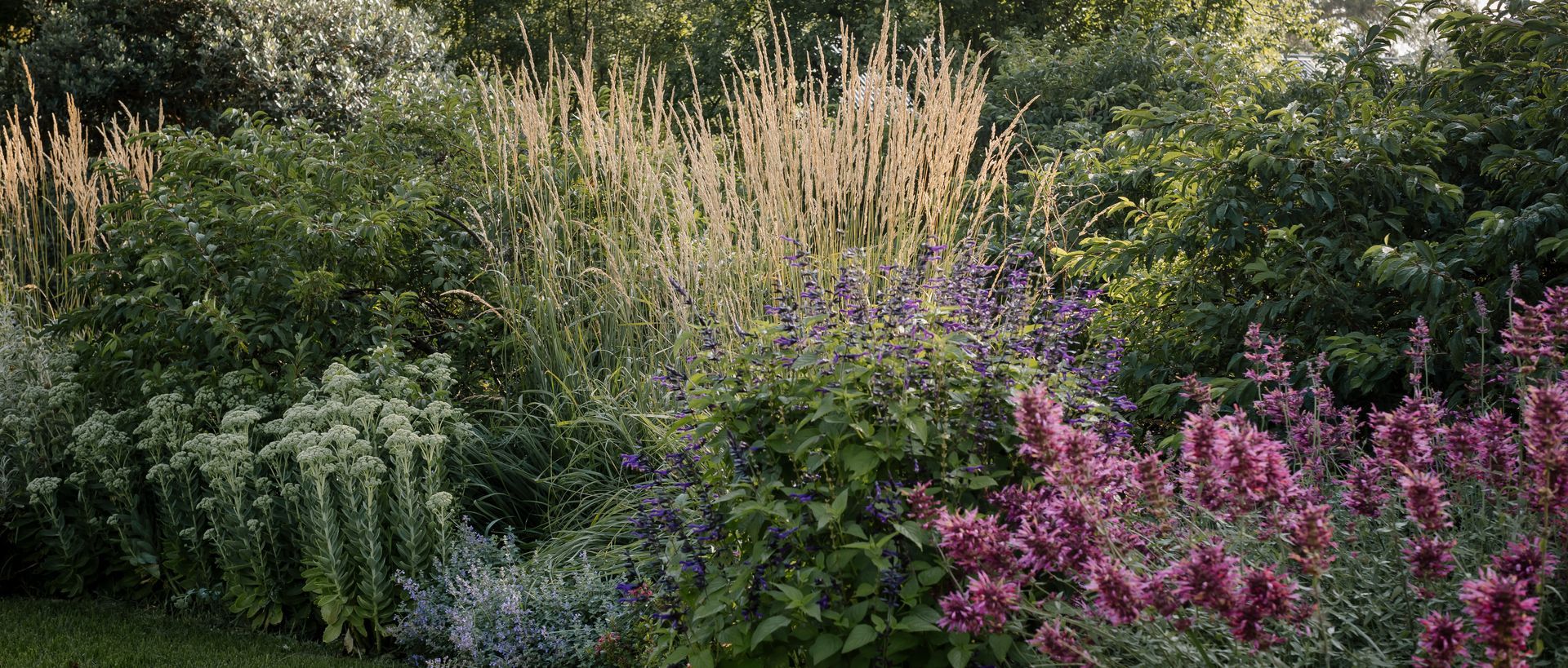 Supporting Image 2 for Ashley James Gardens