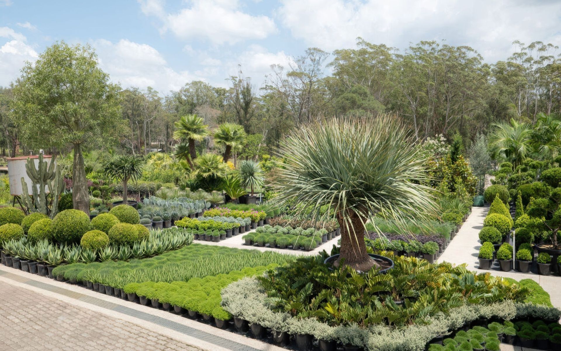 Supporting Image 5 for Exotic Nurseries