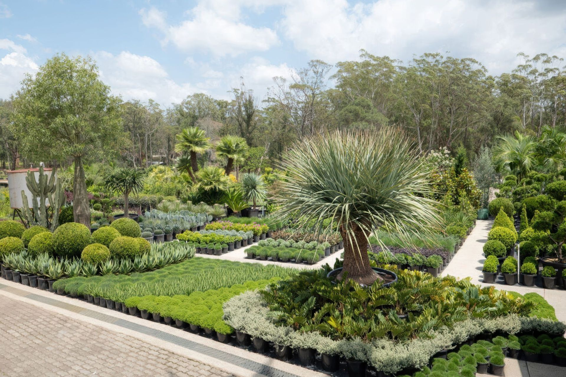 Supporting Image 5 for Exotic Nurseries