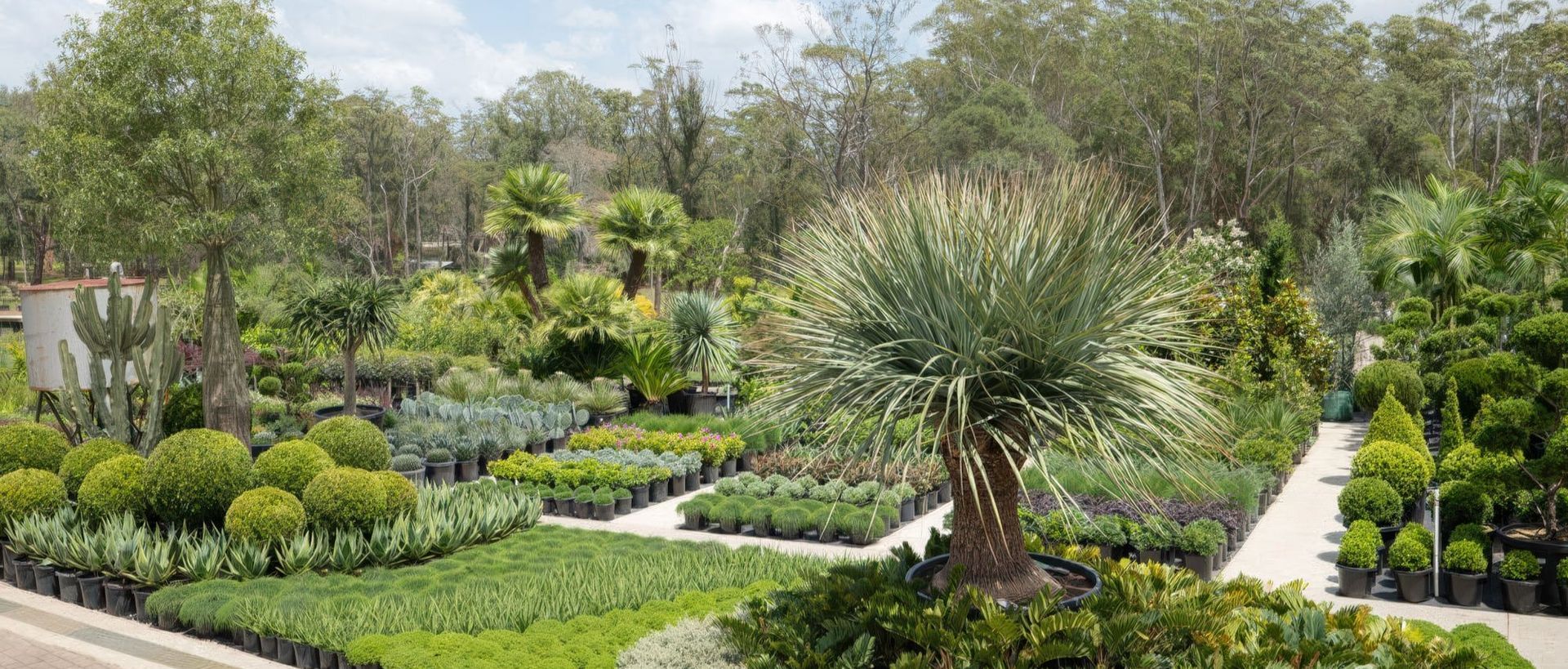 Supporting Image 5 for Exotic Nurseries
