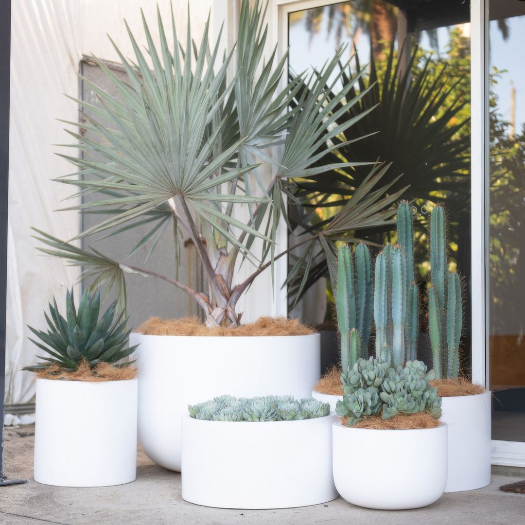 Exotic Nurseries