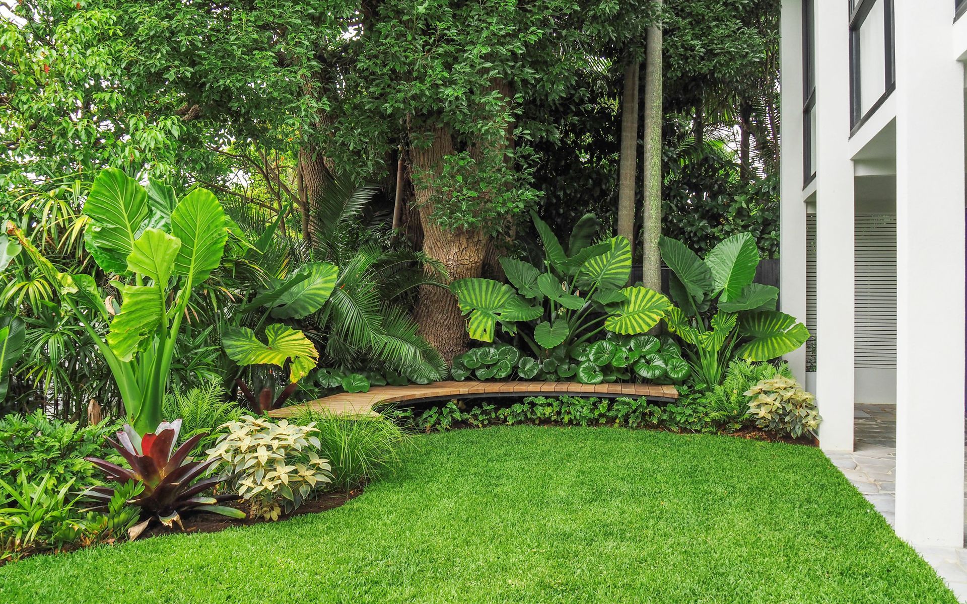 Supporting Image 2 for Exotic Nurseries