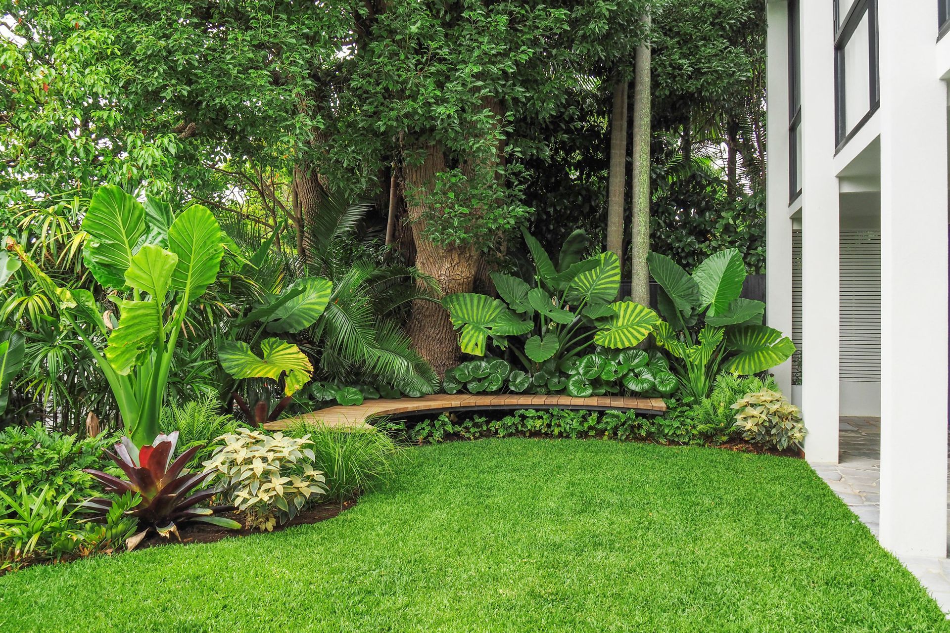 Supporting Image 2 for Exotic Nurseries