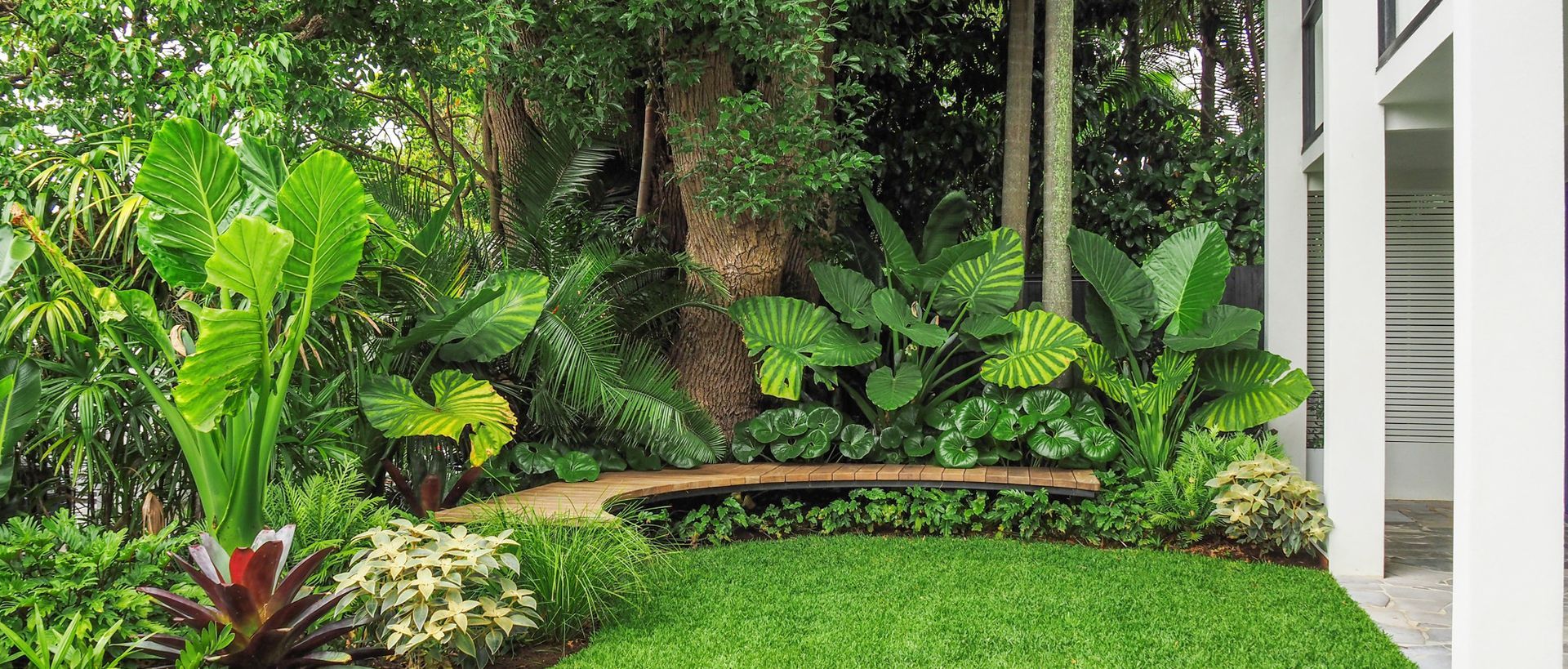 Supporting Image 2 for Exotic Nurseries